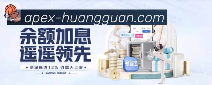 未来规划